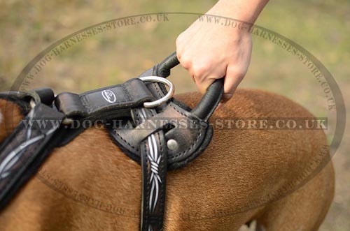 Leather Dog Harness for Amstaff UK with Handle