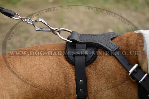 Amstaff Harnesses UK