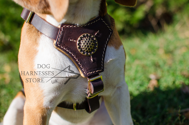Royal Dog Harness for Small Dogs and Puppies