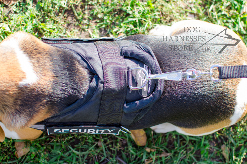 Beagle Dog Harness
