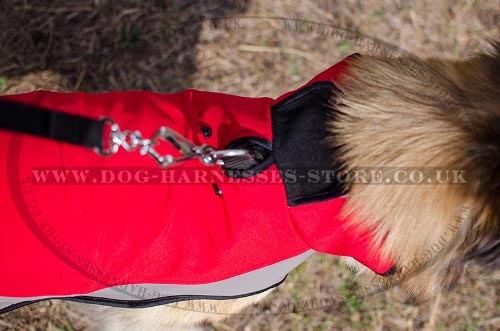 Belgian Tervuren Dog Coat