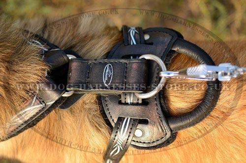 Tervuren Harnesses UK