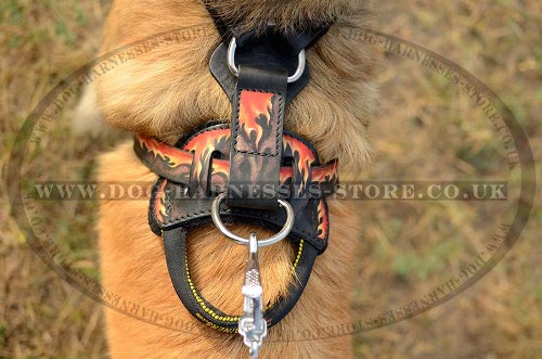 Belgian Tervuren Dog Harness