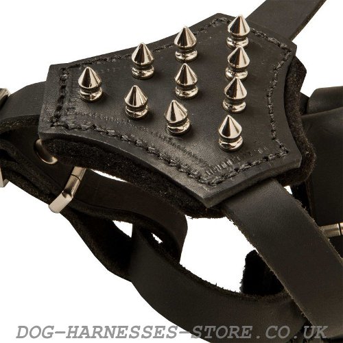 Black Leather Spiked Dog Harness