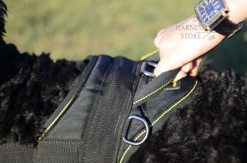 Black Russian Terrier Harness UK