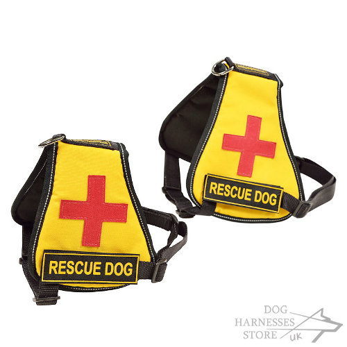 Buy Service Dog Vest UK