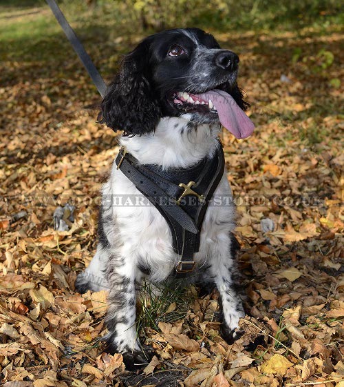 Working Dog Tracking Harness