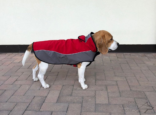 Dog Coat for Beagle