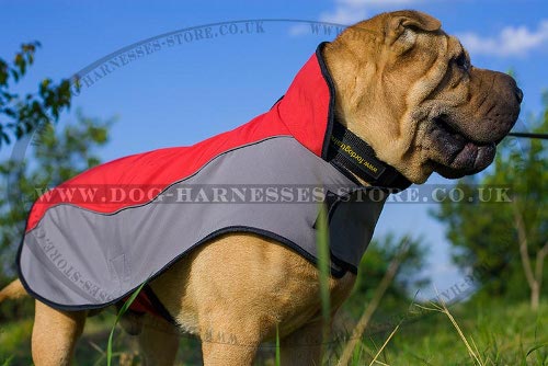 Dog Coats for Shar-Pei