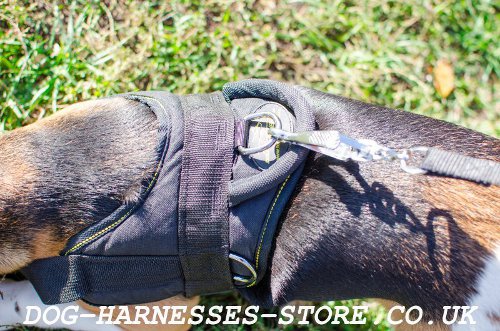 Dog Harness for Beagles