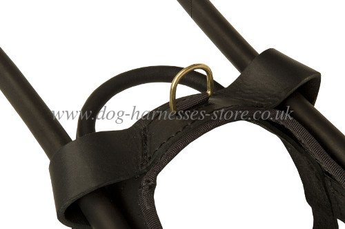 guide harness with handy handle