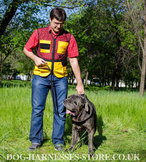 Dog Harness for Mastiff UK