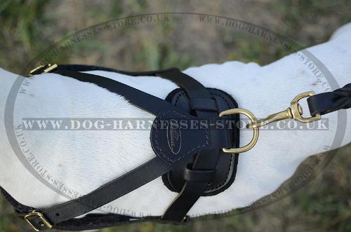 Dog Harness for Pointers