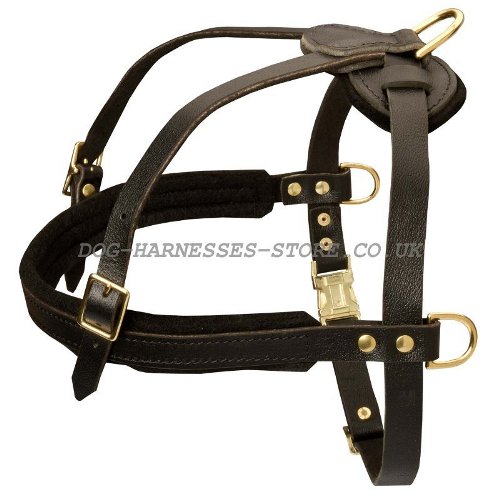 Dog Harness Pulling Weight