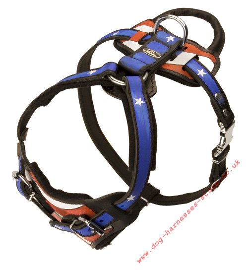 Stars and Stripes Dog Harness USA Style