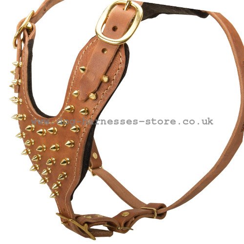 dog harness uk with spikes style