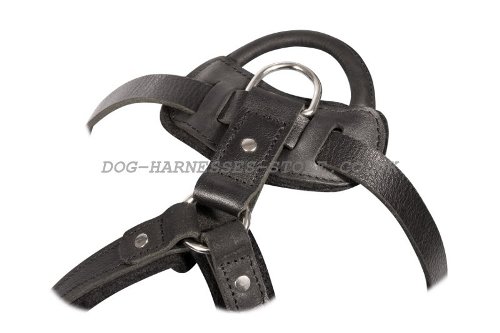Protection Dog Harness