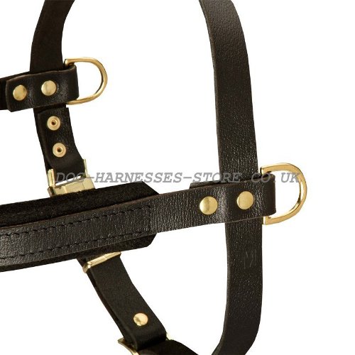 Dog Tracking Harness UK