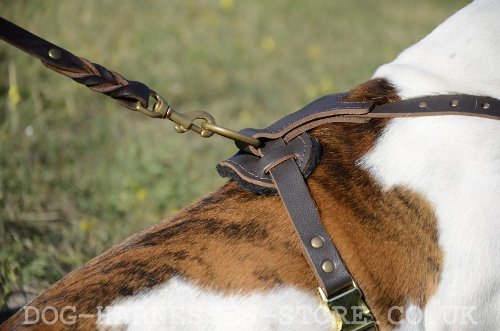 Dog Harness for American Bulldog UK