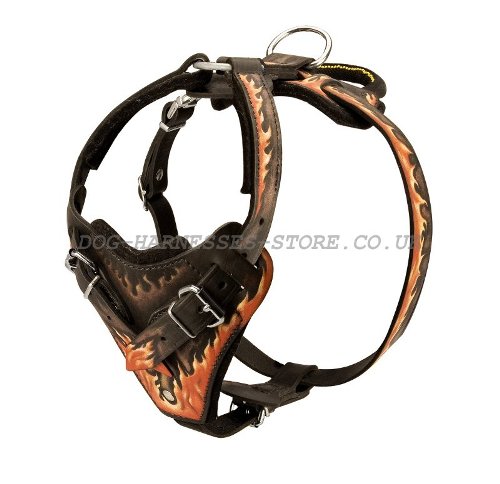 Favourite Dog Harness UK