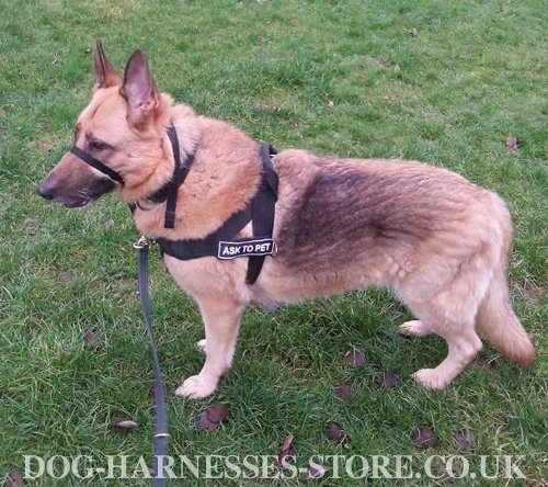 German Shepherd Harnesses UK