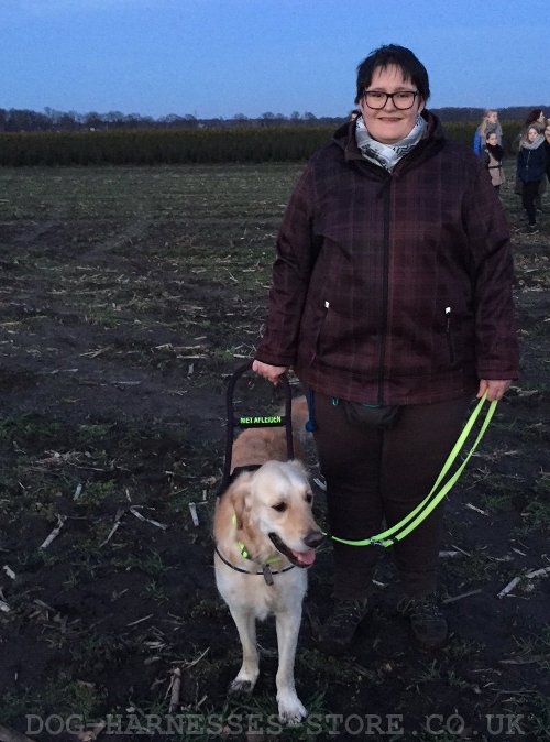 Labrador Guide Harness UK