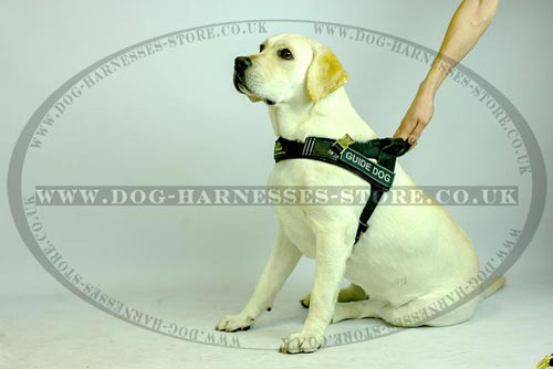 Leather Guide Dog Harness