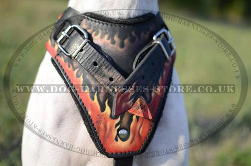 English Pointer Harness Hand Painted