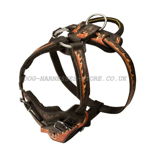 Handmade Leather Dog Harness