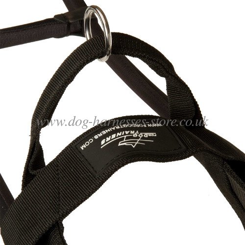 Assistance Dog Harness