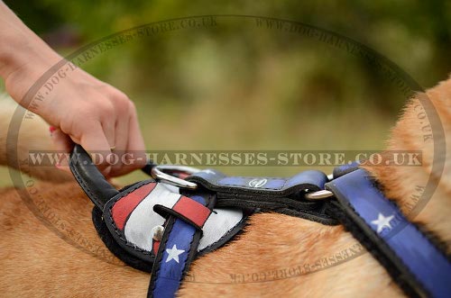 Harness for Shar-Pei UK