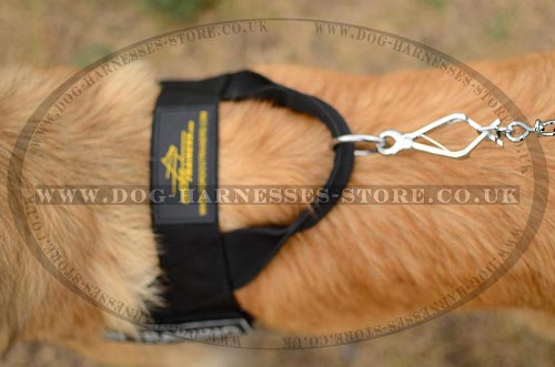 Harness for Tervuren