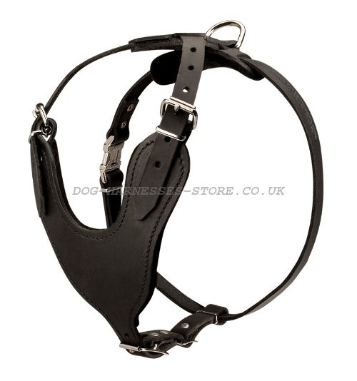 Leather Chest Harness UK