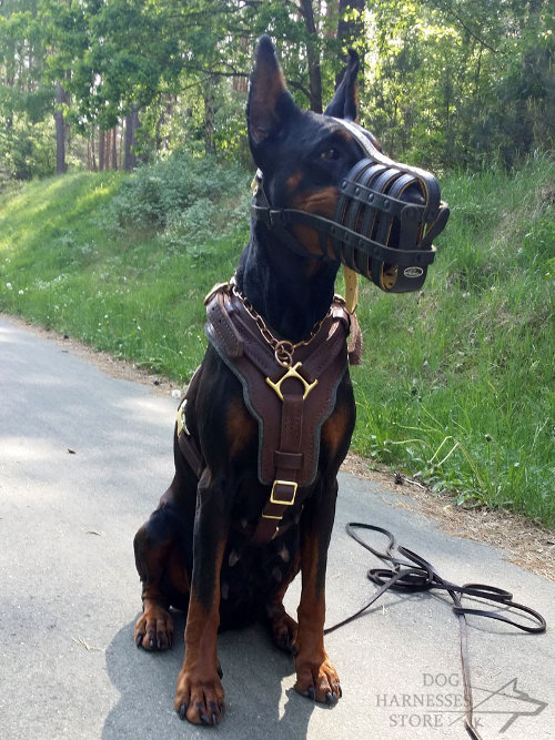 Leather Dog Harness Doberman