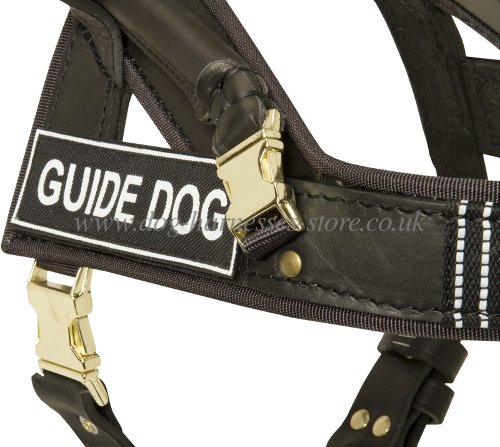 Labrador Dog Harness