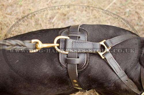 Leather Dog Harness