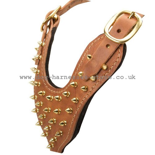 leather dog harness in spikes design