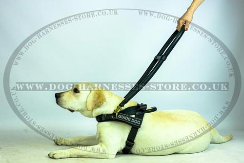 Guide Dog Harness with Handle