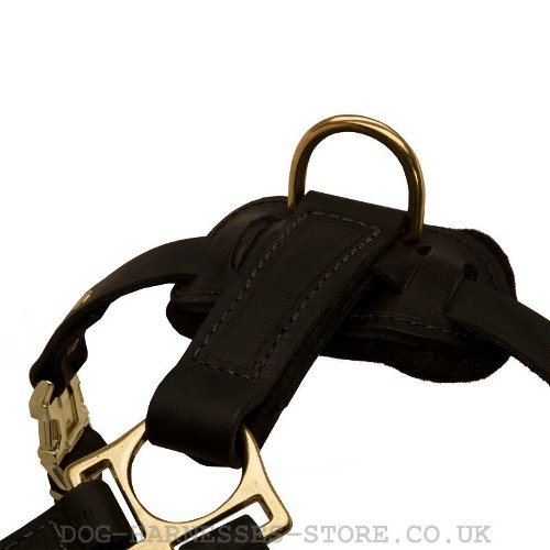 Leather Tracking Harness
