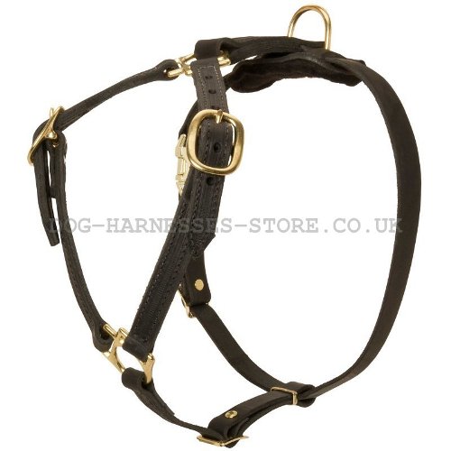 Handcrafted Leather Dog Harness