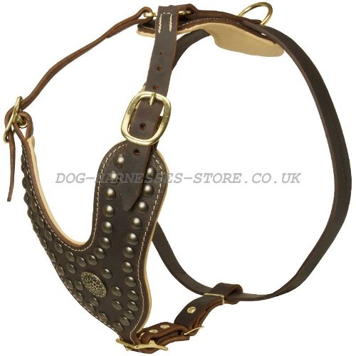 Doberman Leather Harness