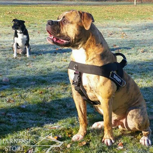 UK Working Dog Harness