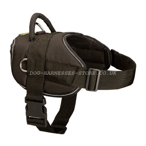 Mastiff Dog Harness UK