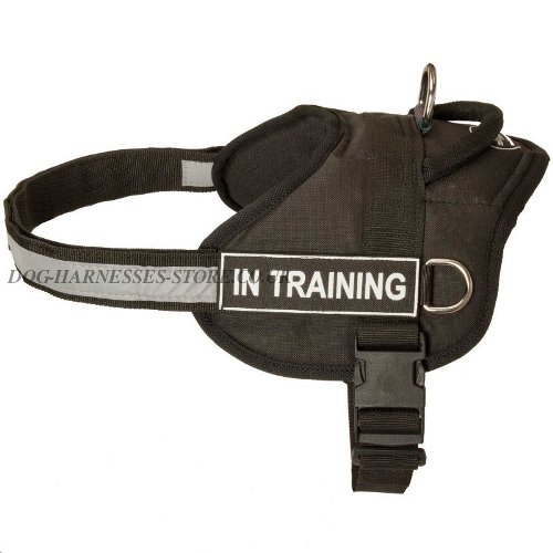 Nylon Dog Harness UK, Reflective