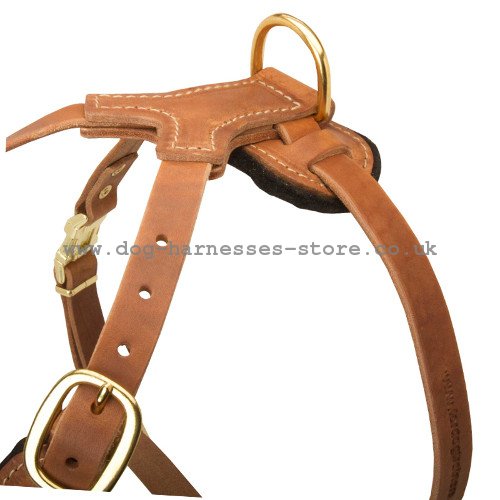 padded dog harness in luxe spiked design