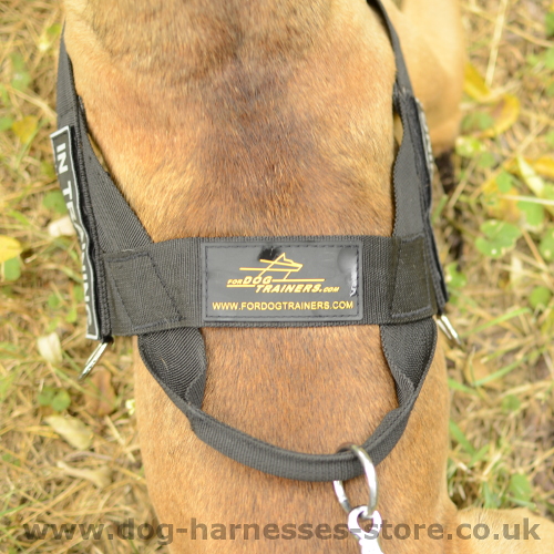 Nylon Dog Harness