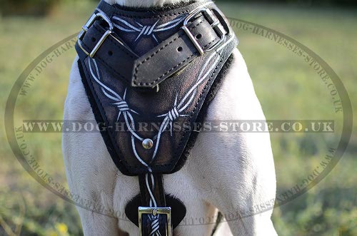 Pointer Dog Harness UK Hand Painted