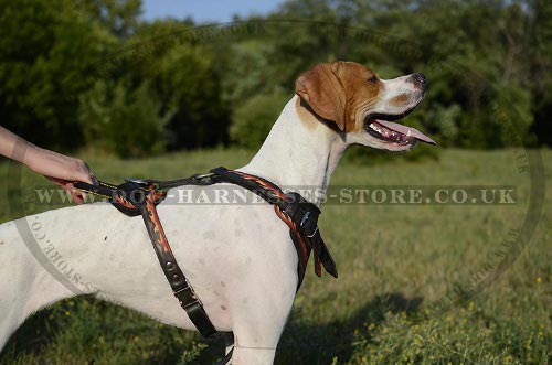 Pointer Dog Harness of Flaming Style