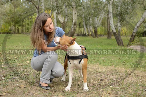 Pulling Dog Harness for Amstaff UK