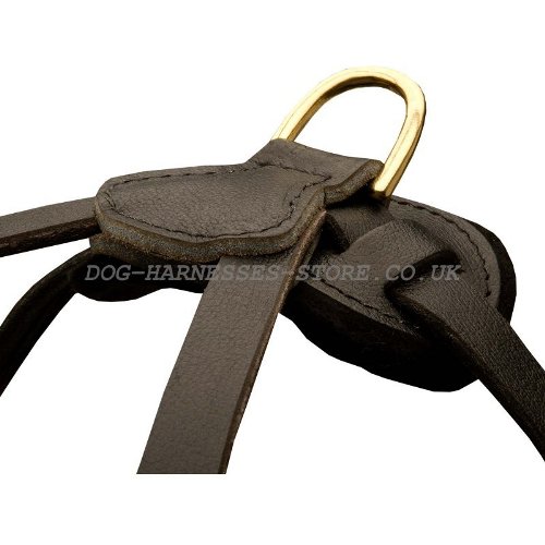 Dog Pulling Harness for Sale